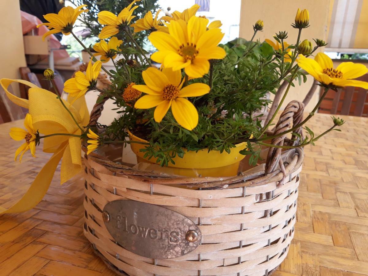 Flowery House Appartamento Roma
